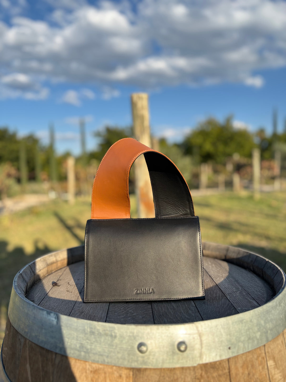 Somos Zinnia - imagen 1